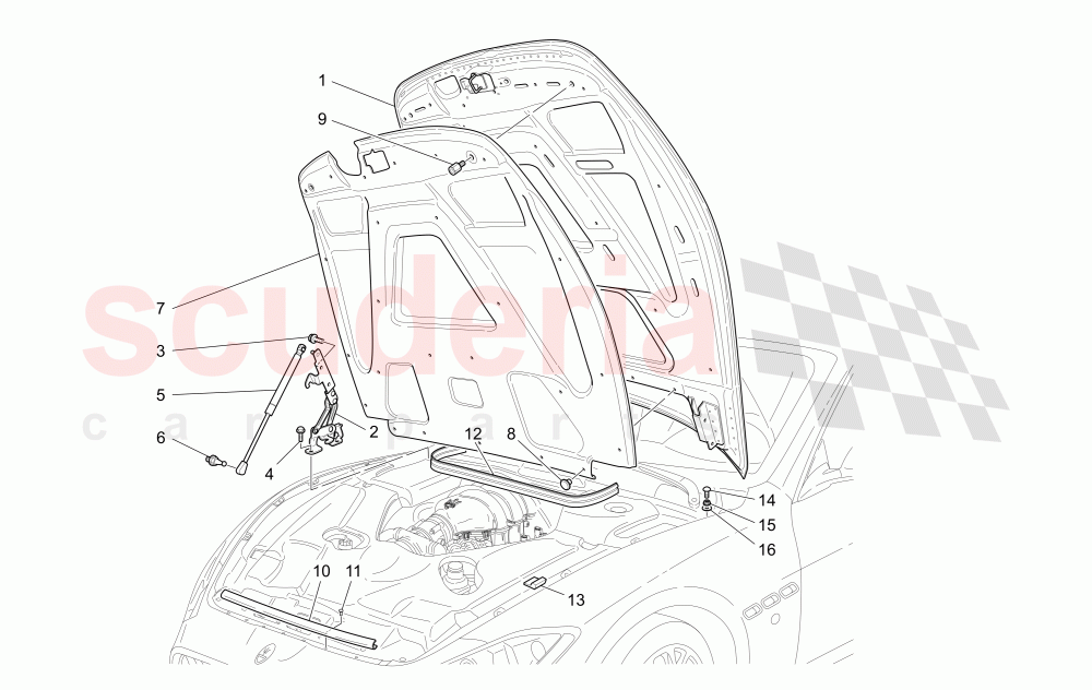 FRONT LID (Not available with: Special Edition) of Maserati Maserati GranTurismo (2008-2010) S