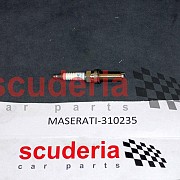 Spark Plug for 