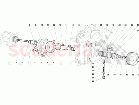 Photo of SCREW…