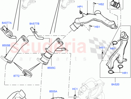 Photo of CLAMP HOSE…