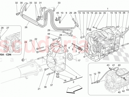 Photo of SCREW…